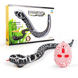 RC Rattle Snake