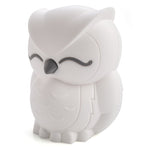Lil Dreamers Owl Soft Touch LED Light